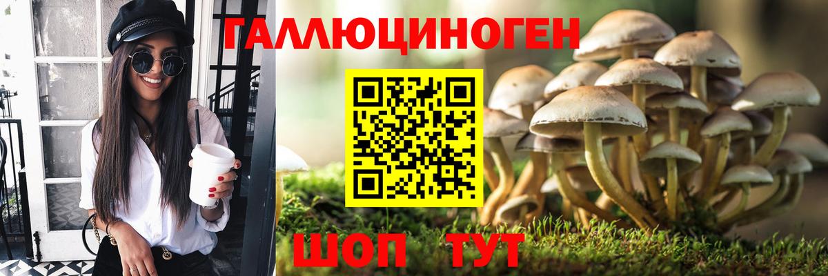 купить  сайты  Псилоцибиновые грибы Magic Shrooms  Вход с VPN  Краснознаменск 